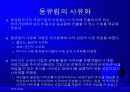 글로벌경영 정치적, 문화적 환경 3페이지