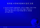 글로벌경영 정치적, 문화적 환경 11페이지