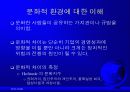 글로벌경영 정치적, 문화적 환경 21페이지