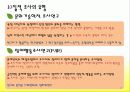 질적 조사 18페이지