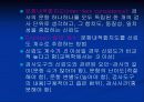 심리검사법 37페이지