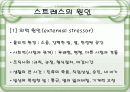 스트레스의 원인과 대응방안 9페이지