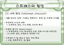 스트레스의 원인과 대응방안 10페이지