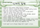 스트레스의 원인과 대응방안 21페이지