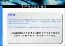삽질노믹스, 무엇이 문제인가? 13페이지