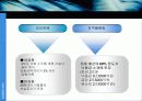 삽질노믹스, 무엇이 문제인가? 41페이지