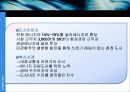 삽질노믹스, 무엇이 문제인가? 47페이지