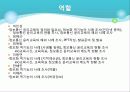 미디어 교육-통신윤리교육의 현재와 미래- 24페이지
