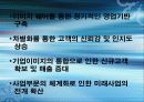 (CI) DECOMAS & GREEN MARKETING 5페이지