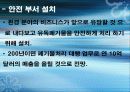 (CI) DECOMAS & GREEN MARKETING 21페이지