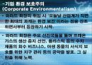 (CI) DECOMAS & GREEN MARKETING 24페이지