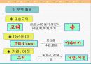 중세의 경제  14페이지