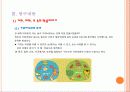 생활 속의 예언가 확률 中[ 가위바위 보, 주사위, 윷놀이, 로또의 확률에 대해서  ] 3페이지
