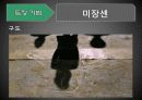 공동경비구역 JSA 14페이지