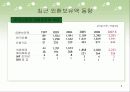 외환보유액의 이해 9페이지