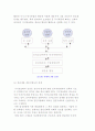 글로벌 시대 인적자원전략 6페이지