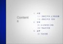 경찰조직의 개선방향 2페이지