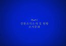 경찰조직의 개선방향 3페이지
