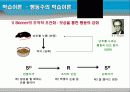 교육과 컴퓨터 5페이지