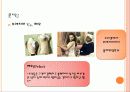 이갈리아의딸들 6페이지
