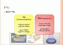 이갈리아의딸들 7페이지