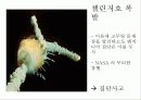 조직의사결정과 대안선택 24페이지