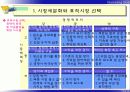 C 시장세분화, 표적시장 선택 및 포지셔닝 18페이지