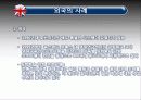 21세기정보화시대 13페이지