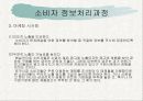 소비자 정보처리과정 3페이지