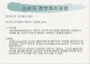 소비자 정보처리과정 8페이지