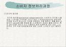 소비자 정보처리과정 12페이지