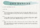 소비자 정보처리과정 14페이지
