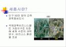 세종특별자치시 2페이지