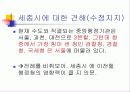 세종특별자치시 12페이지