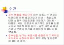세종특별자치시 15페이지