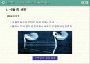 유전과 진화 13페이지