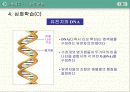 유전과 진화 21페이지