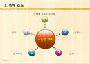 세계의 축제 조사-영국 런던 노팅힐 축제- 9페이지