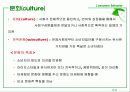 Ch. 11 문화적 가치관  2페이지