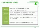 Ch. 11 문화적 가치관  6페이지
