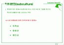 Ch. 12 하위 문화의 영향과 연령집단  2페이지