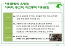 Ch. 12 하위 문화의 영향과 연령집단  3페이지