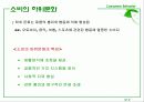 Ch. 12 하위 문화의 영향과 연령집단  9페이지