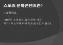 스포츠 문화콘텐츠에 대한 연구 5페이지