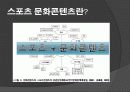 스포츠 문화콘텐츠에 대한 연구 6페이지