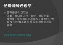 스포츠 문화콘텐츠에 대한 연구 8페이지