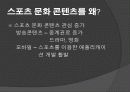 스포츠 문화콘텐츠에 대한 연구 18페이지