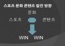 스포츠 문화콘텐츠에 대한 연구 19페이지