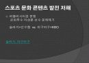스포츠 문화콘텐츠에 대한 연구 20페이지
