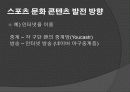 스포츠 문화콘텐츠에 대한 연구 21페이지